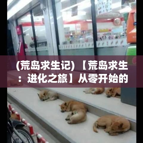 (荒岛求生记) 【荒岛求生：进化之旅】从零开始的求生技能提升——揭示人类与自然和谐共处的秘密